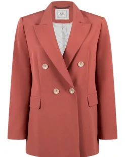 Aaiko blazer CENALLA VIS 345 Oud Roze Online