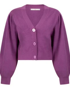 Aaiko gebreid vest KALINA VIS 310 Roze Sale