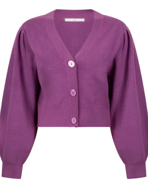 Aaiko gebreid vest KALINA VIS 310 Roze Sale