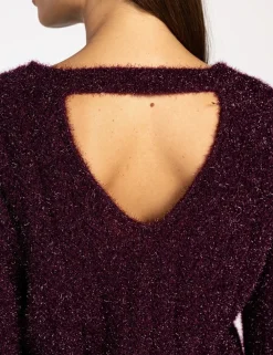Aaiko trui FEMME PES 377 Wijnrood Online