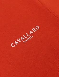 Cavallaro t-shirts Slim Fit 117251016 Brique New
