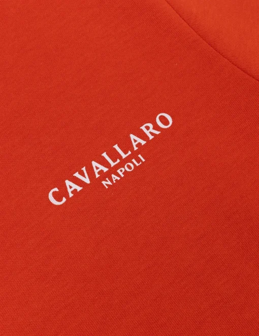 Cavallaro t-shirts Slim Fit 117251016 Brique New
