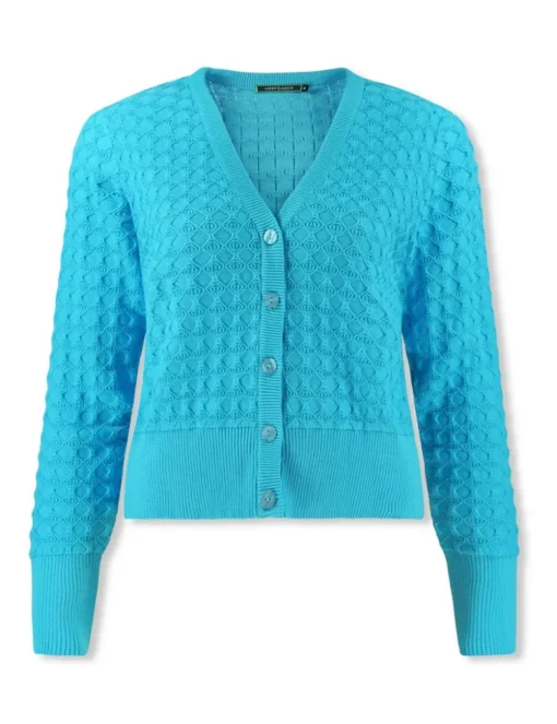 Lizzy & Coco gebreid vest ezzi Blauw Outlet